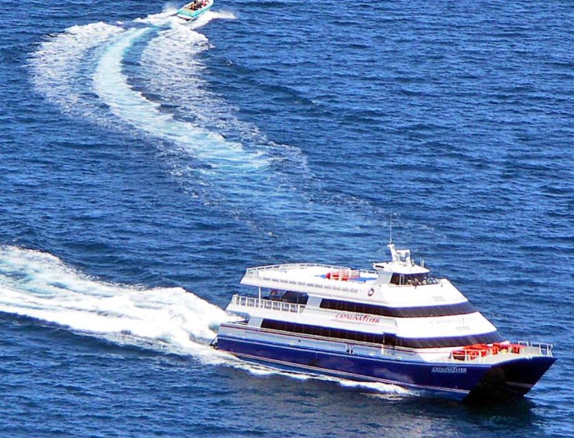 Newport Beach: Ferry Ticket To/From Catalina Island - Key Points