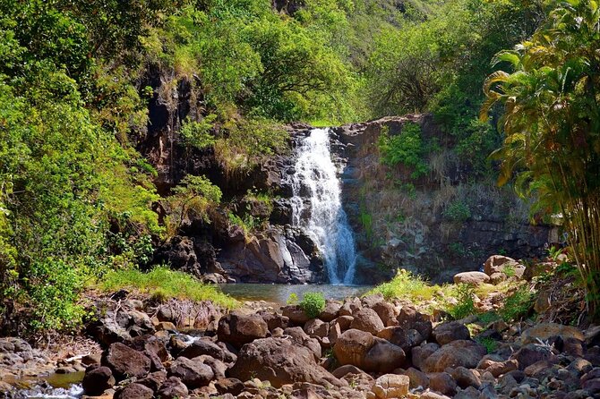 Next Level Oahu Circle Island Tour Full Day Waimea Fall Byodo - Key Points