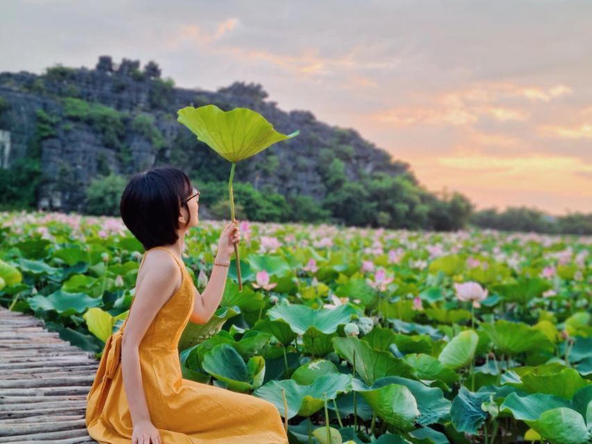 Ninh Binh 1 Day: Bai Dinh-Trang An-Mua Cave by Limousine - Key Points