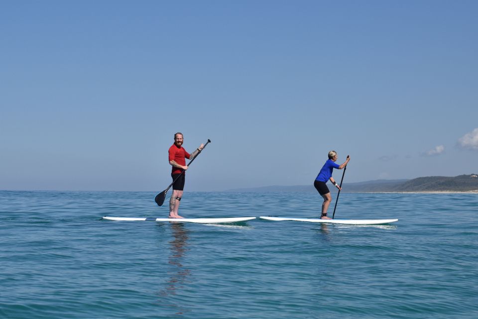 Noosa: Stand Up Paddle Lesson Double Island Adventure - Key Points