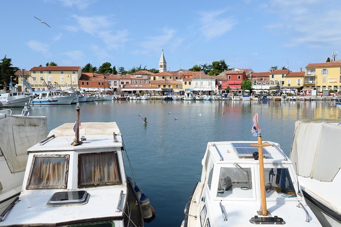 Novigrad Walking Food Tour - Key Points