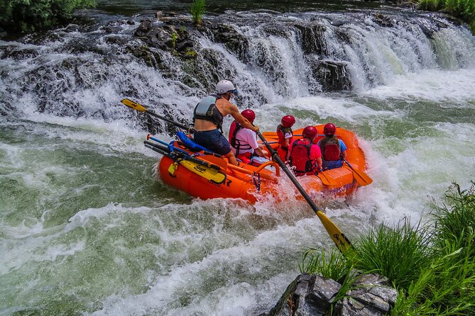 Nugget Falls Class IV Half-Day Rafting on the Rogue RIVer - Tour Inclusions