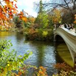 nyc central park secrets and highlights walking tour NYC: Central Park Secrets and Highlights Walking Tour