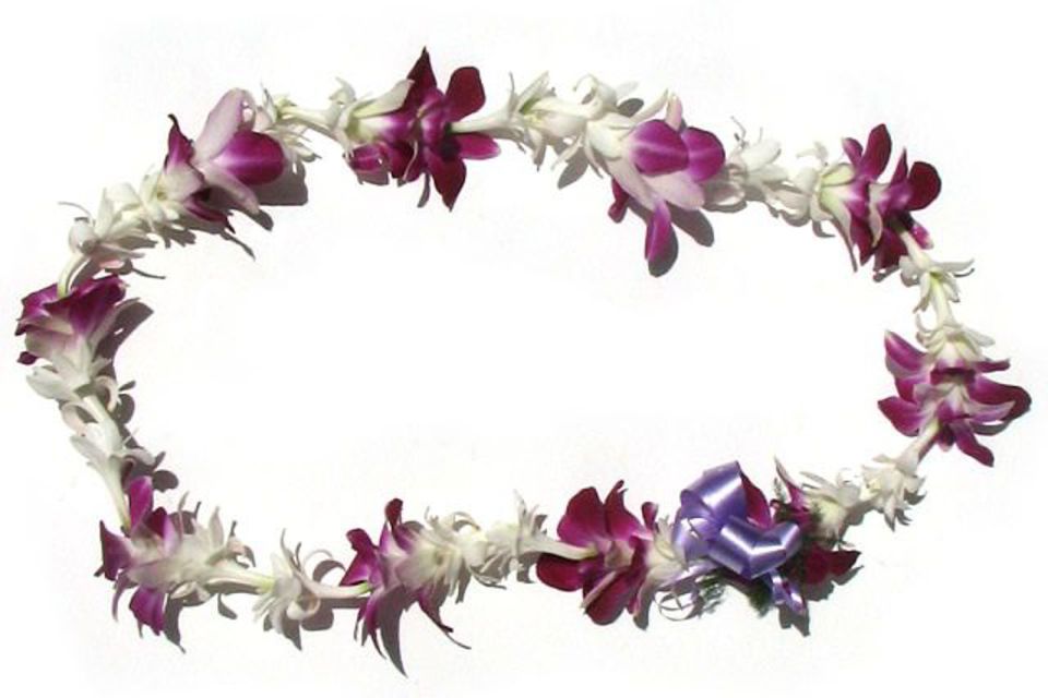 Oahu: Honolulu Airport (HNL) Traditional Lei Greeting - Key Points