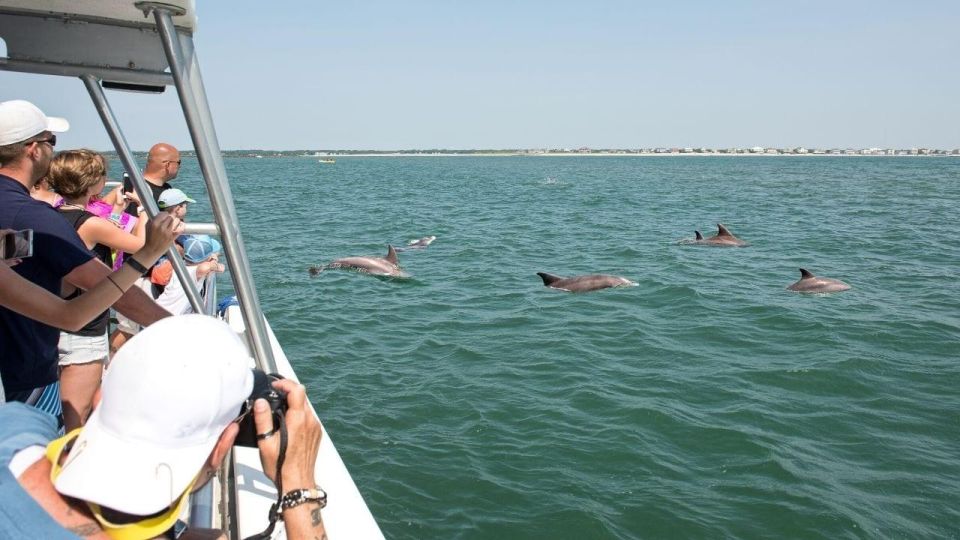 Ocean City: High-Speed Sunrise Cruise and Dolphin Watching - Key Points