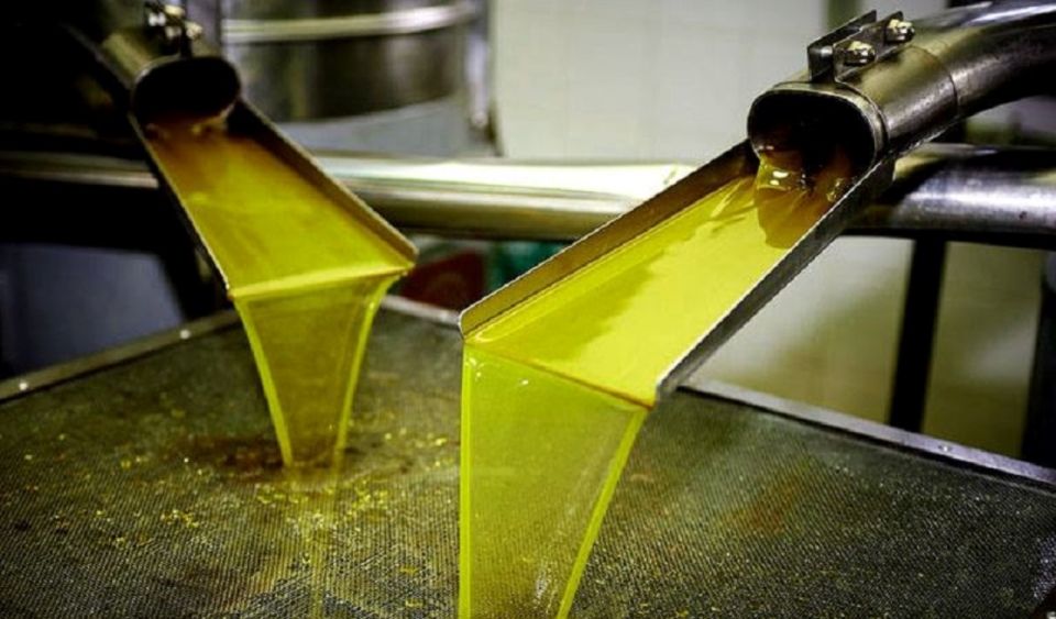 Olive Mill Visit & Olive Oil Tasting 3-Hour Trip Private - Tour Location & Provider