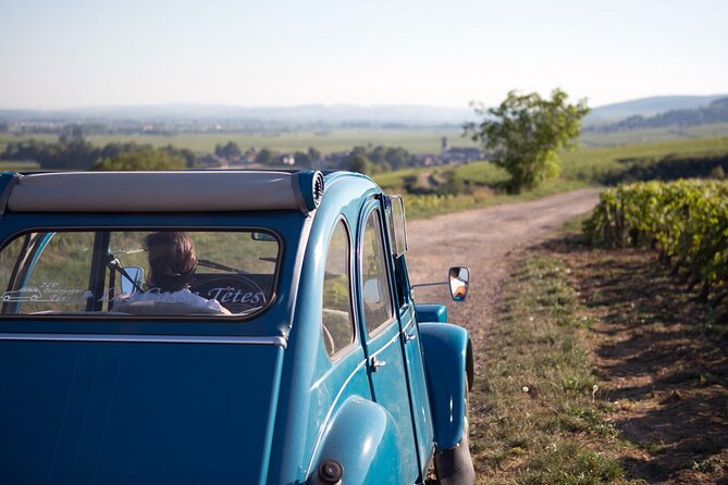 On the Mop: 2CV Rental in Burgundy - Key Points