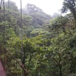 one day of nature in monteverde One Day Of Nature in Monteverde