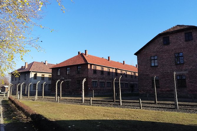 One Day Tour to Auschwitz-Birkenau From Warsaw With Private Transport - Key Points