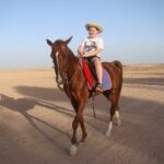 one hour horse or camel riding with transfer sharm el sheikh One Hour Horse or Camel Riding With Transfer- Sharm El-Sheikh
