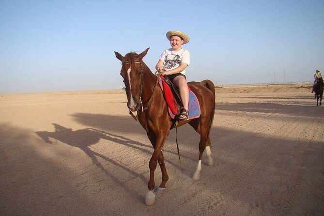 one hour horse or camel riding with transfer sharm el sheikh One Hour Horse or Camel Riding With Transfer- Sharm El-Sheikh