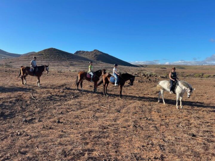 One Hour Horse Riding Tour in Gran Canaria - Key Points