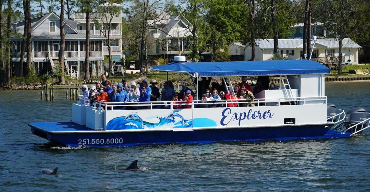 orange beach dolphin watching eco boat tour Orange Beach: Dolphin-Watching Eco-Boat Tour