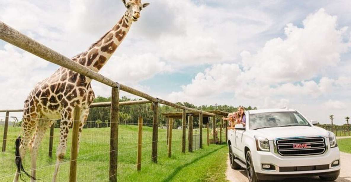 Orlando: Drive-Thru Safari Park at Wild Florida - Key Points