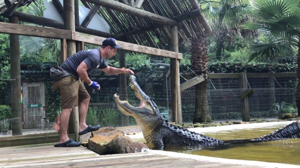 Orlando: Wild Florida Park, Gator Show & Animal Encounters - Key Points