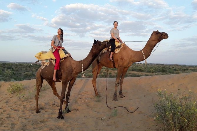 Osian Desert Camel Safari With Transfers From Jodhpur - Key Points