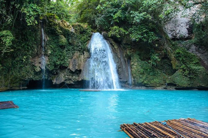 Oslob Whale Shark and Kawasan Falls Day Tour - Key Points