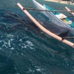 oslob whale shark sandbar waterfall private tour from cebu Oslob Whale Shark, Sandbar, Waterfall Private Tour From Cebu