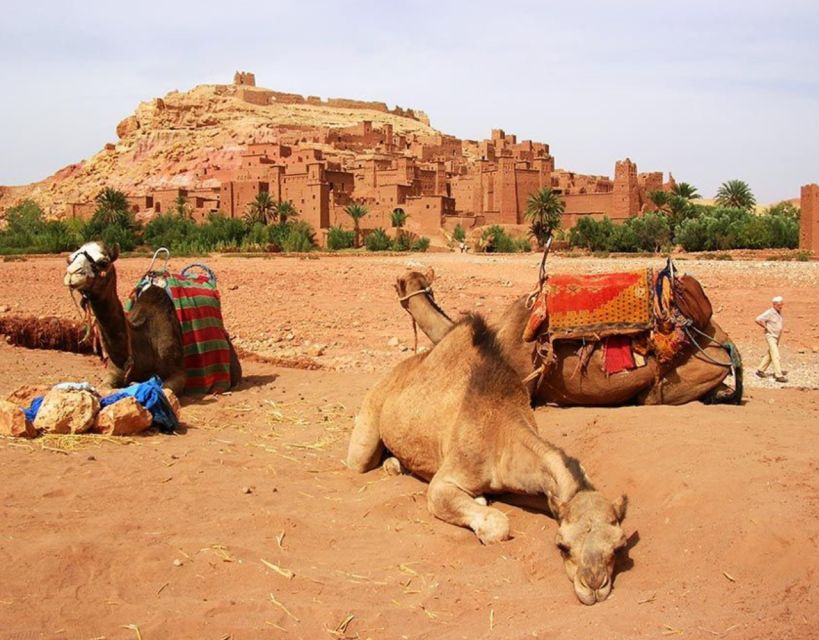 Ouarzazate Day Trip - Key Points