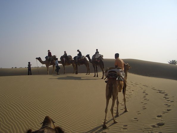 Over Night Desert Adventure Camel Safari - Key Points
