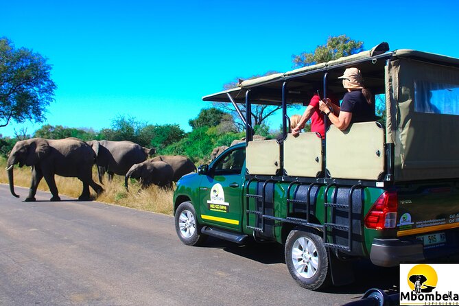 Overnight Kruger National Park Classic Camping Safari - Key Points