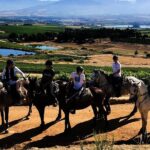 paarl horseback riding tour stellenbosch Paarl Horseback Riding Tour - Stellenbosch