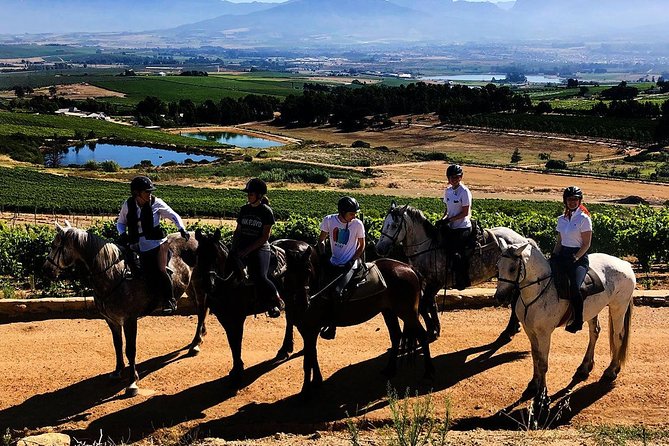 Paarl Horseback Riding Tour  – Stellenbosch