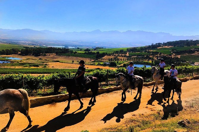 Paarl Small-Group Horseback Riding Tour  - Stellenbosch - Key Points