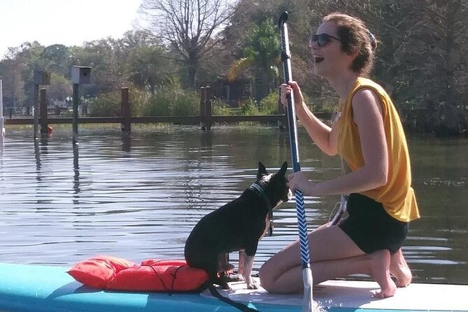 Paddleboarding With Dogs and Rabbits  - Orlando - Key Points