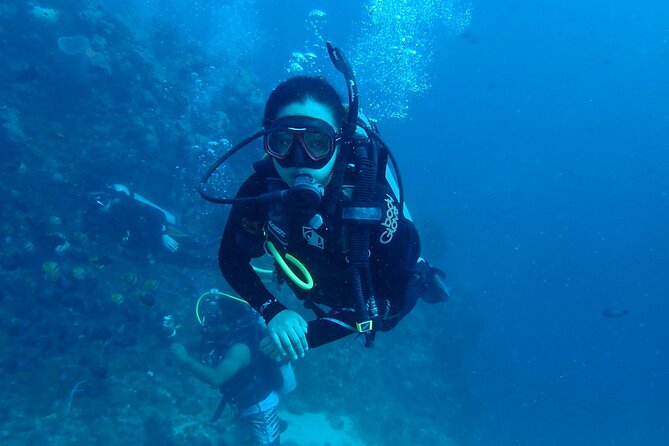 PADI Open Water Diver Course @ Anilao Batangas - Location Highlights