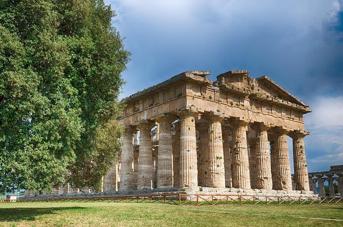 Paestum Park and Bufalo Farm Day Tour From Sorrento - Key Points