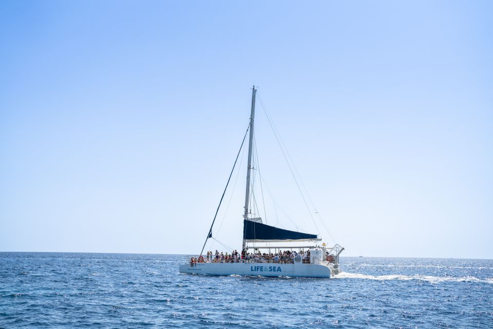 Palma: Catamaran Cruise With Swimming and Snorkelling - Key Points