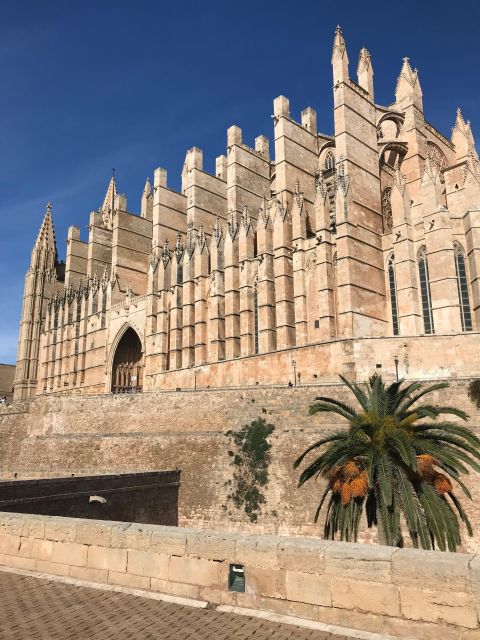 Palma De Mallorca: Lifestyle & Local Food Tasting - Key Points