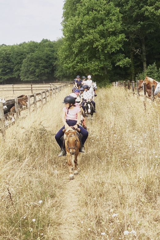 Paris : Horse Riding Camp With English Lessons in Senonches - Key Points