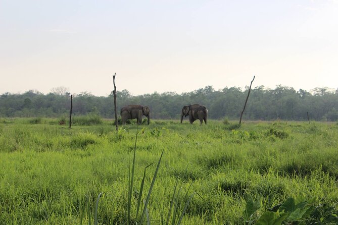 Parsa Wildlife Reserve Tour From Kathmandu - Key Points