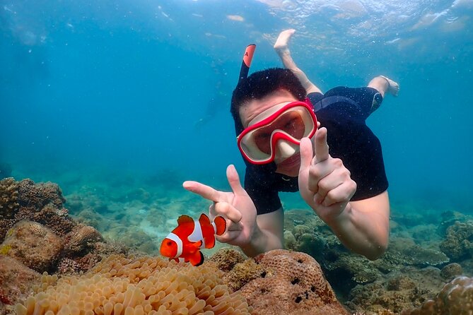 Pattaya : Finding Nemo Snorkeling Tour by Private Speedboat - Key Points