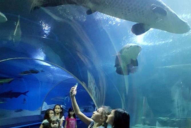 PATTAYA: Join Tour Under Water World Pattaya - Key Points