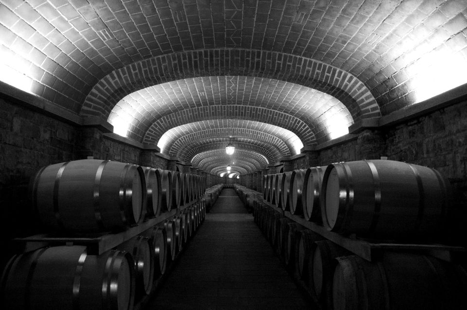 Penedes Wine Cellar Visit With Tasting From Barcelona - Key Points