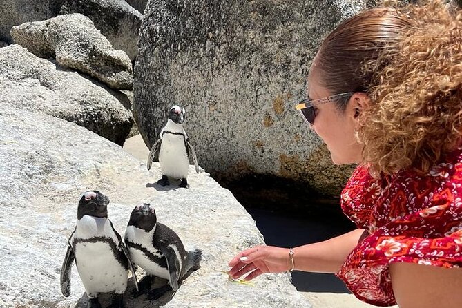 Penguin Watching & Beach Day at Boulders Beach, Cape Town - Getting to Boulders Beach