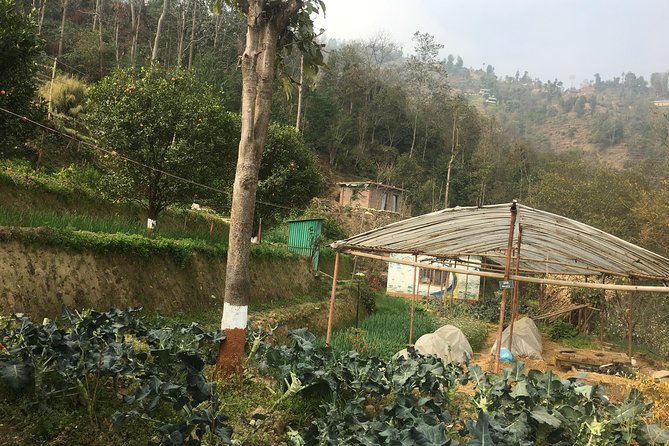 Permaculture Organic Farm Tour in Patlekhet From Kathmandu Nepal - Key Points