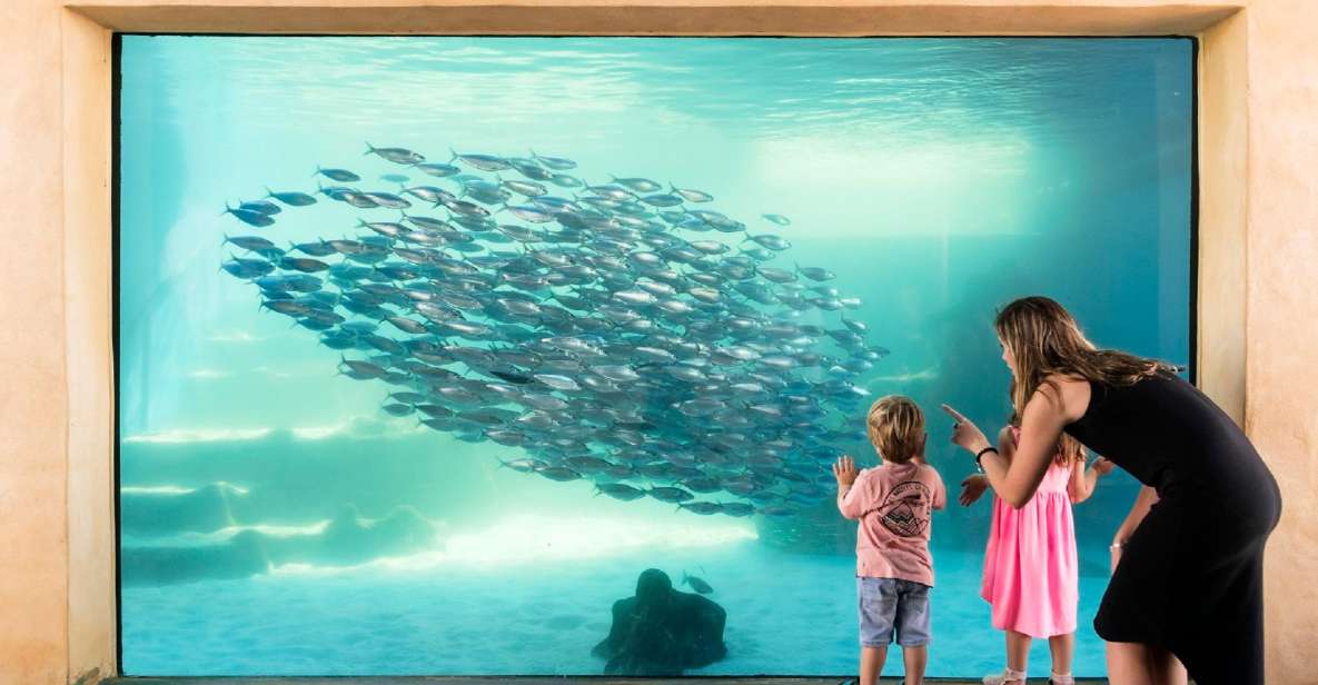 Perth: AQWA Aquarium of Western Australia Entry Tickets - Key Points