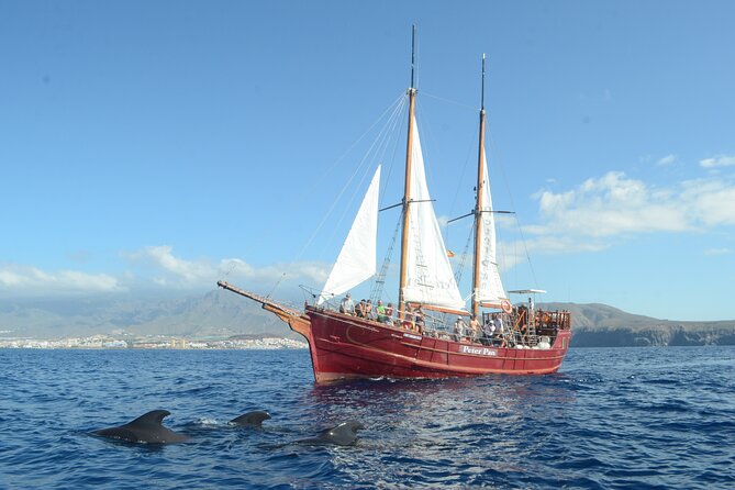 Peter Pan Pirate Boat Trip in Tenerife - Key Points