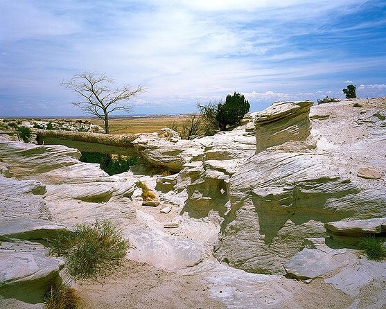 Petrified Forest National Park Self-Guided Driving Audio Tour - Key Points