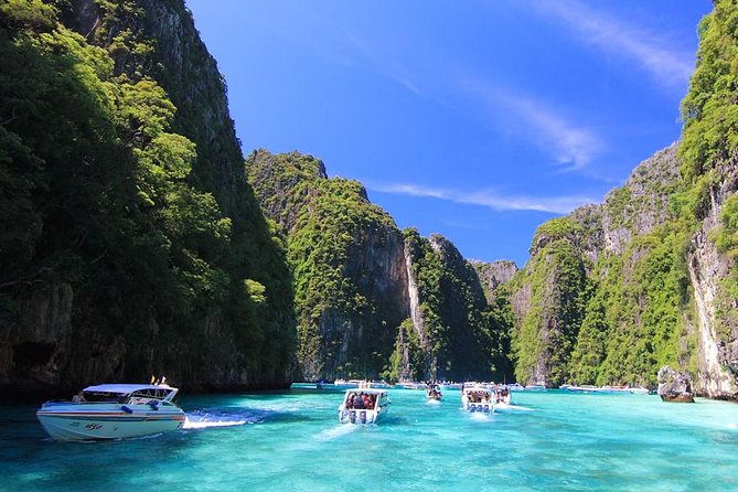 Phi Phi Half Day Tour by Speed Boat - Key Points