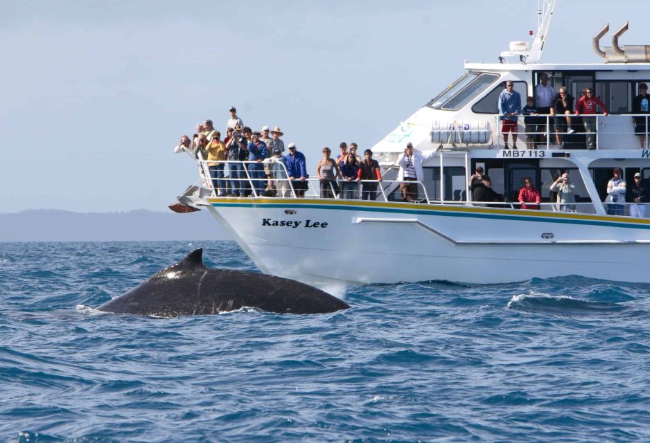 Phillip Island: Whale Watching Boat Tour - Key Points