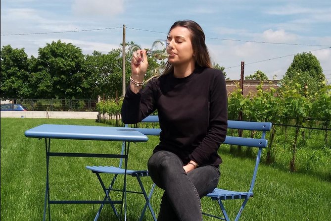 Picnic Wine Tasting at a Lugana Winery  - Brescia - Key Points