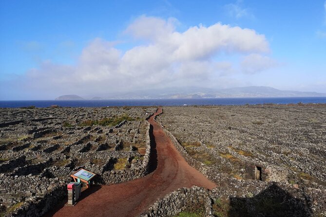 Pico Private Full-Day Tour  - Faial Island - Tour Overview