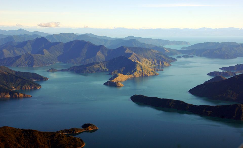 Picton: Queen Charlotte Sounds Sightseeing Cruise - Key Points