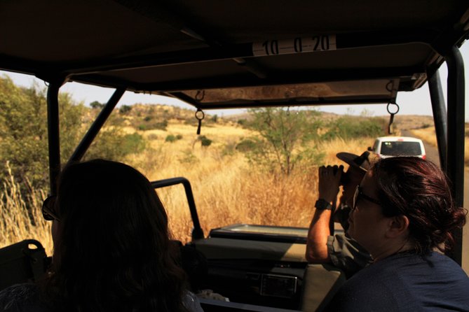 Pilanesberg Nature Reserve Full-Day Tour  - Johannesburg - Key Points