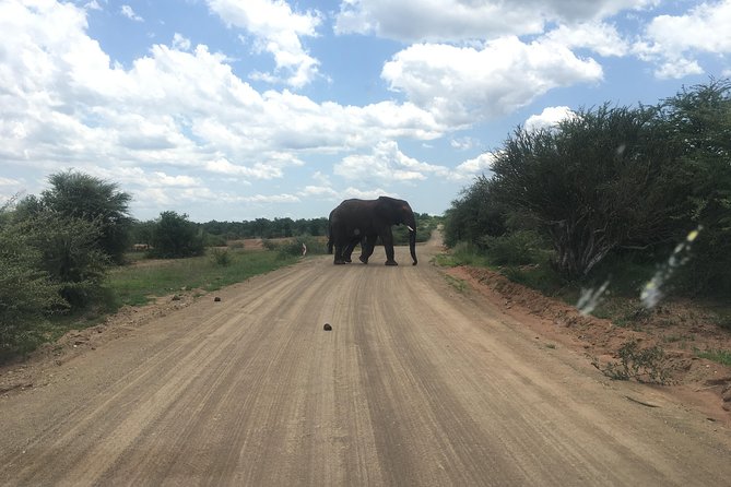 Pilanesberg Safari Day Tour - Key Points